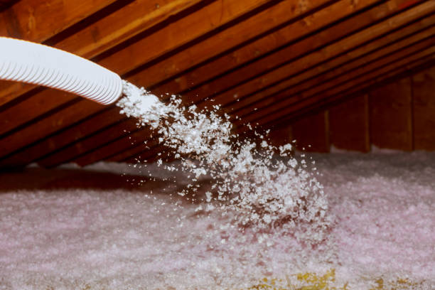 Best Specialty Insulation in Neuse Forest, NC