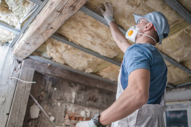 Best Insulation Maintenance and Repair in Neuse Forest, NC